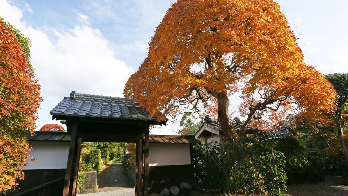 出水市公開武家屋敷「税所邸」