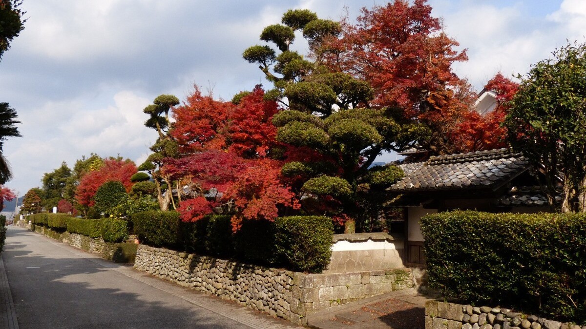武家屋敷通りの秋