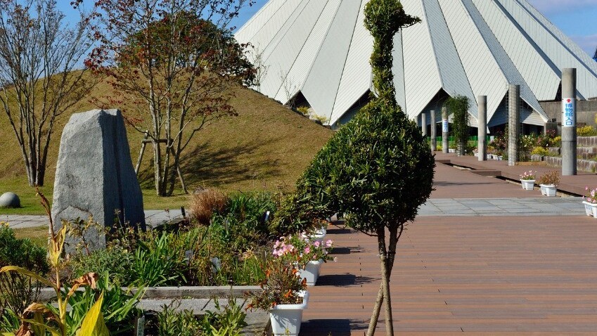 ツル博物館クレインパークいずみ