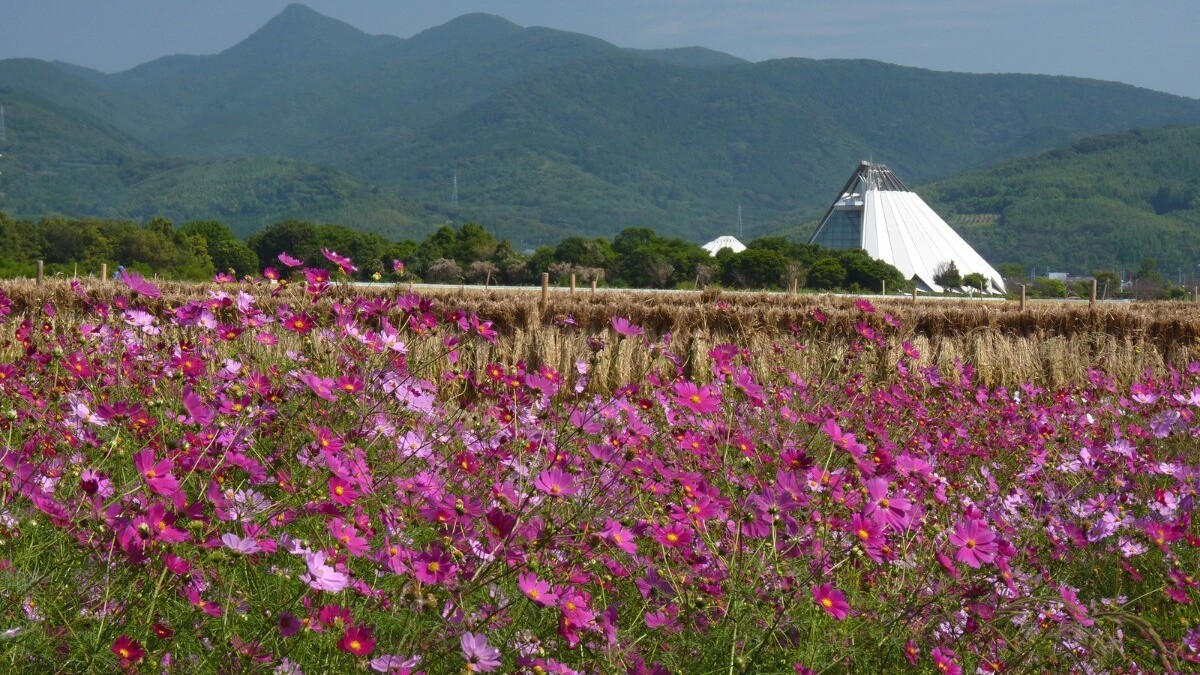 ツル博物館クレインパークいずみ