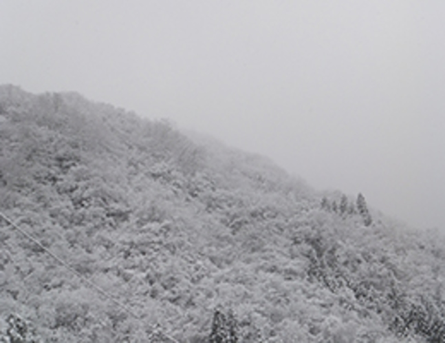 冬のはじまりの福地山（玄関前から11月撮影）