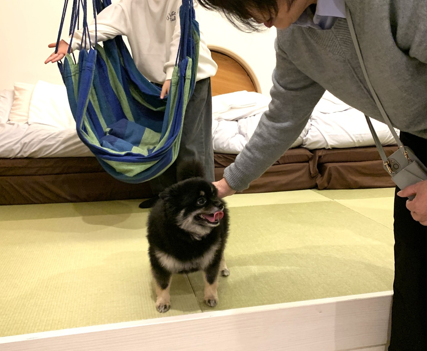 愛犬と過ごす　ハンモック、ボルダリング、キッチン付部屋