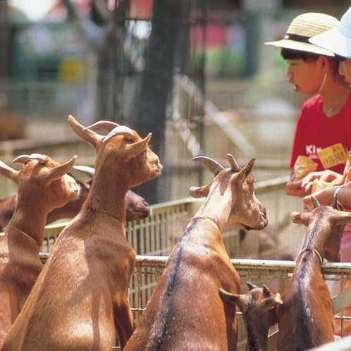 宮崎フェニックス自然動物園　　車で約50分