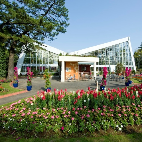 青島亜熱帯植物園　車で約30分