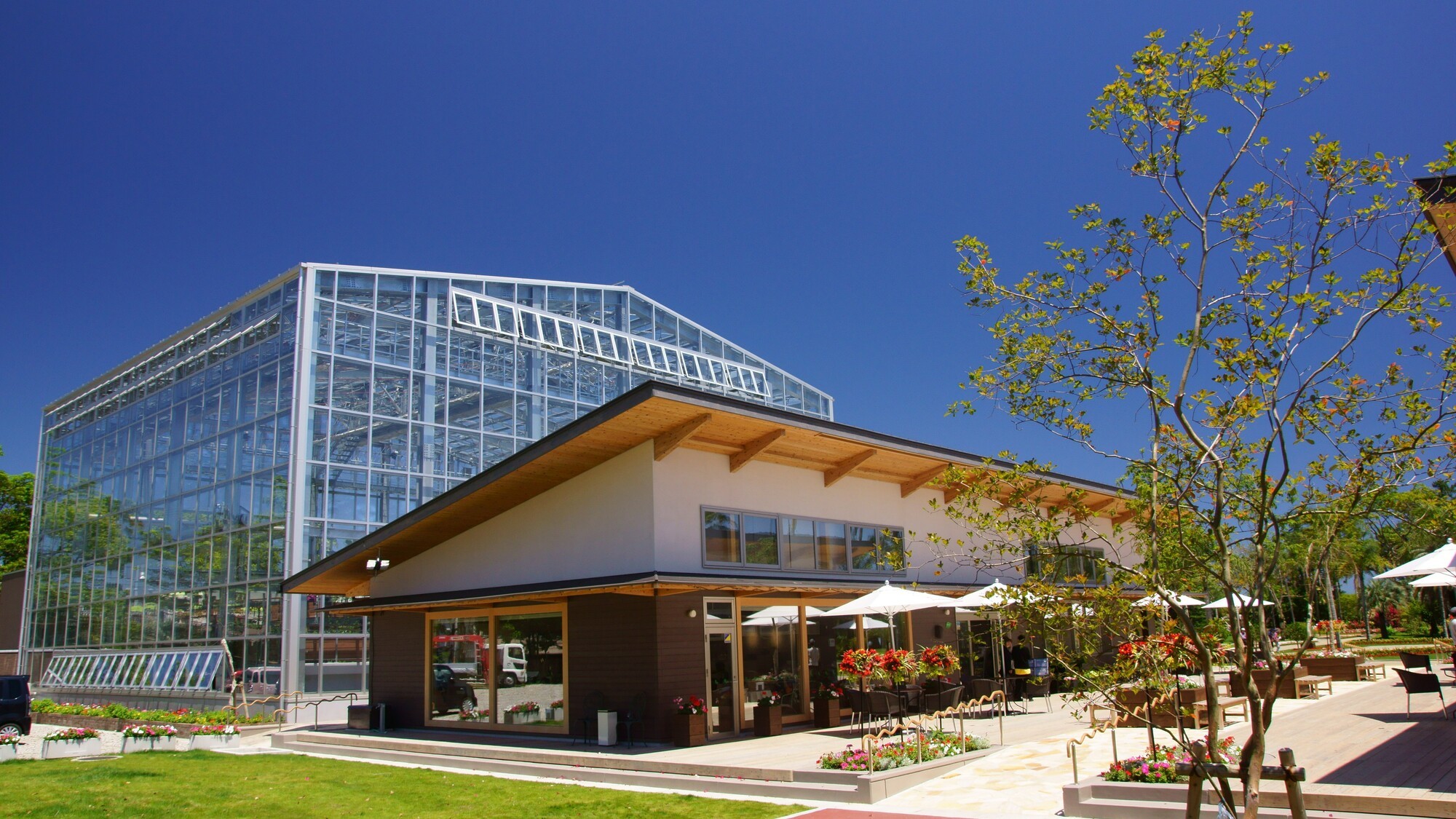 宮交ボタニックガーデン青島