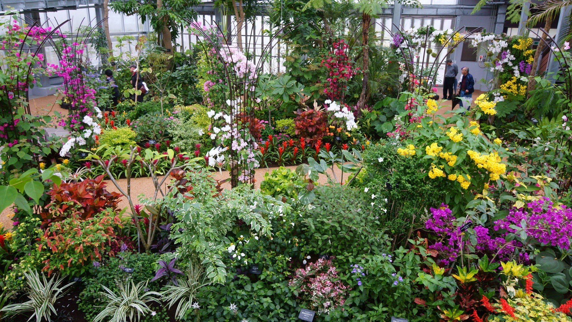 宮交ボタニックガーデン青島