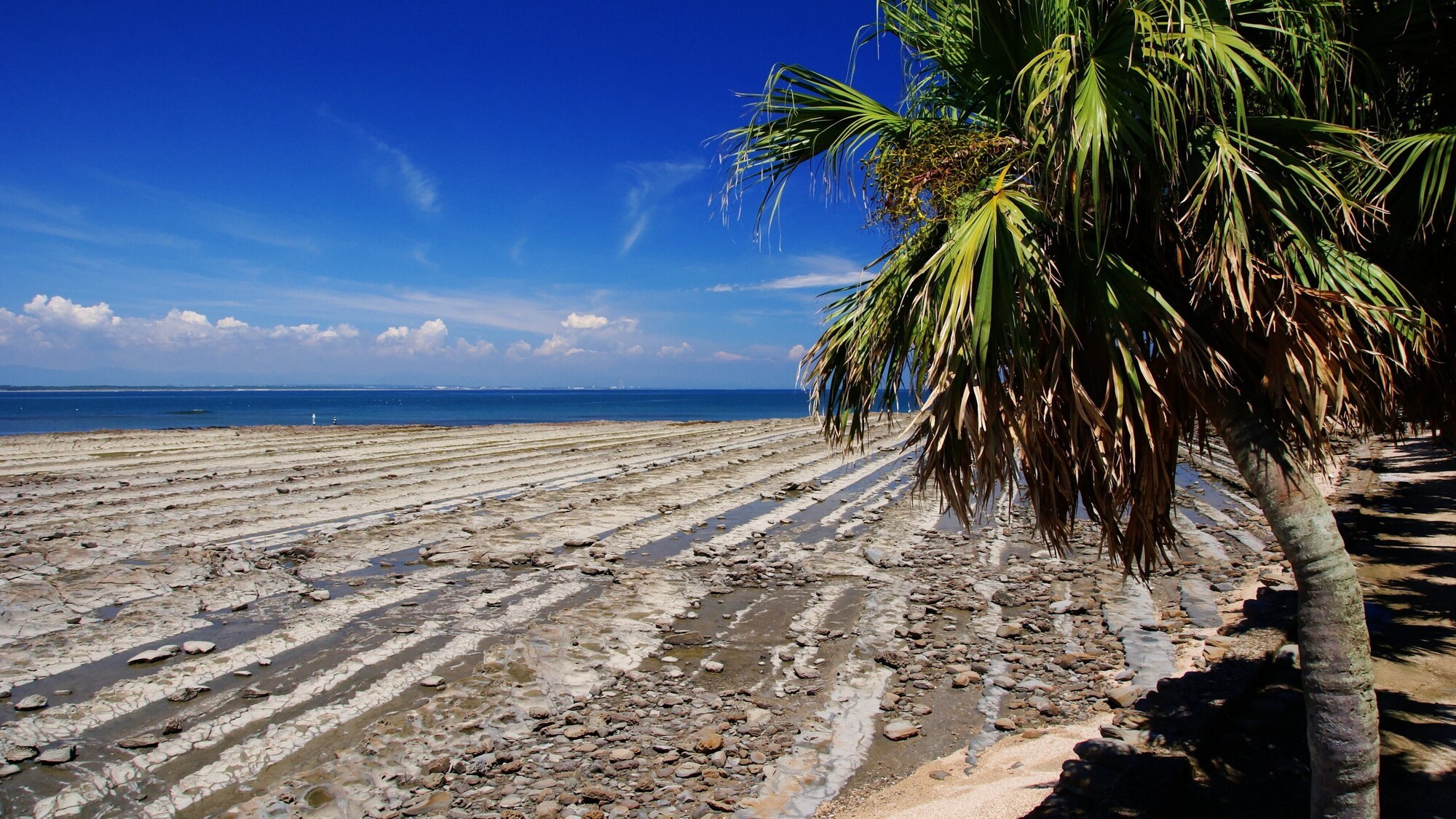 青島「鬼の洗濯板」