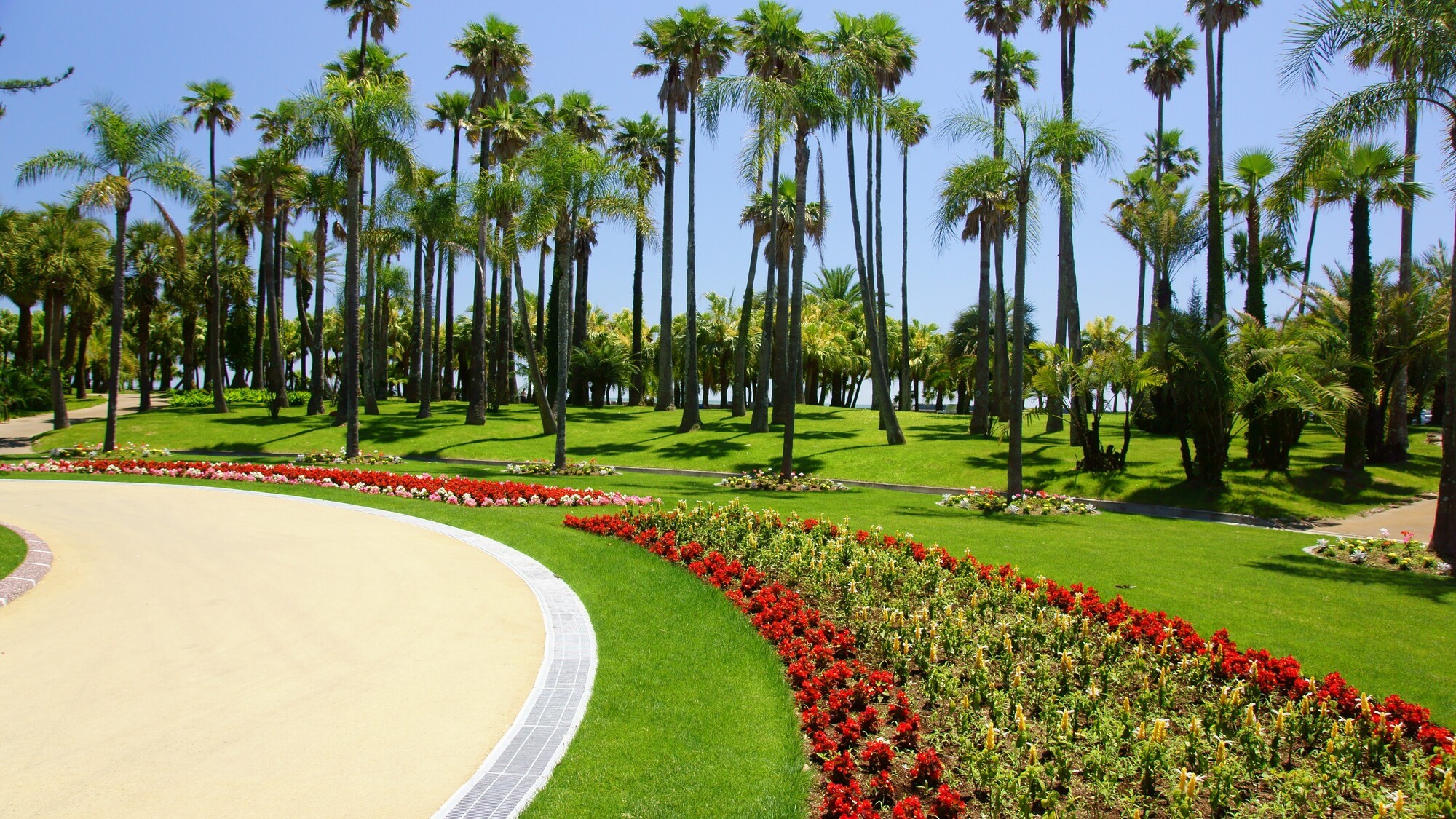 宮交ボタニックガーデン青島