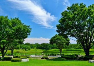 【ショートトリップ】花と緑のパラダイス「国営昭和記念公園」へ行ってみよう♪ 