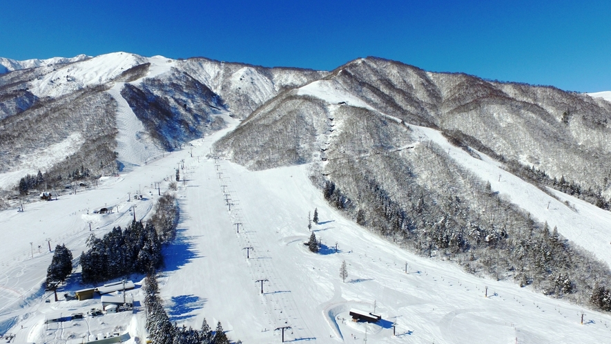 【周辺】眺望＆雪質抜群！ナイターも楽しめる白馬五竜スキー場