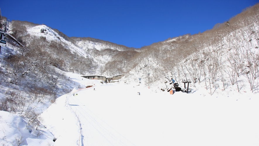【周辺】眺望＆雪質抜群！ナイターも楽しめる白馬五竜スキー場
