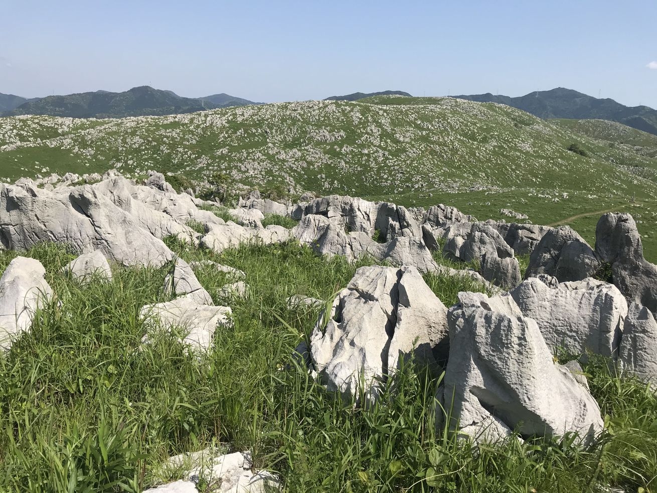 【地球の記憶を巡る】秋吉台カルストから地底探検まで！太古のロマンに触れるワンダードライブ＜朝食付＞