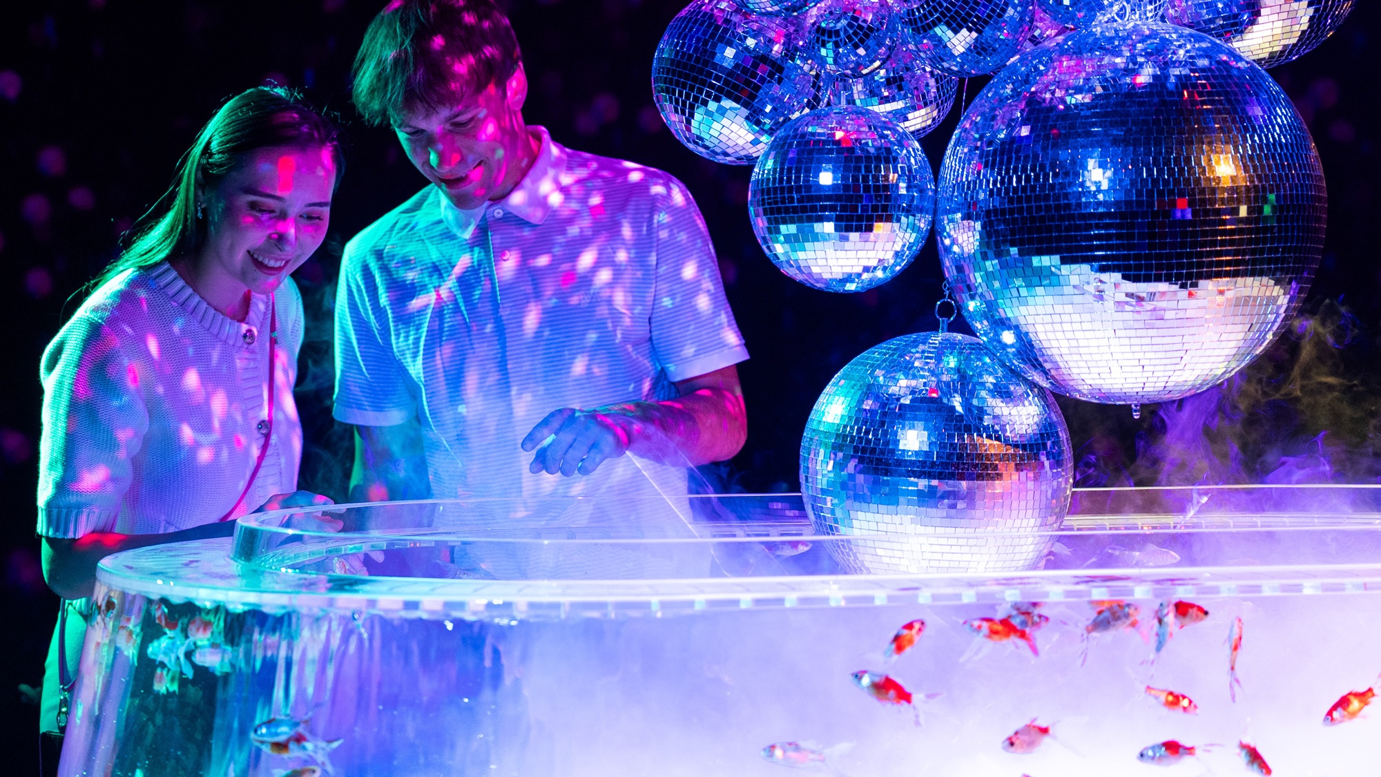 周辺観光｜アートアクアリウム美術館 GINZA（徒歩約4分）