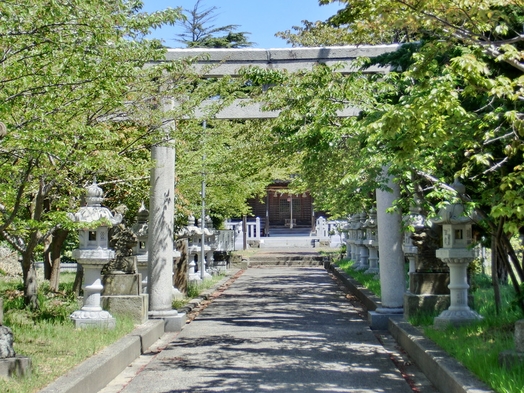 民宿 ニュー大谷 宿泊プラン一覧