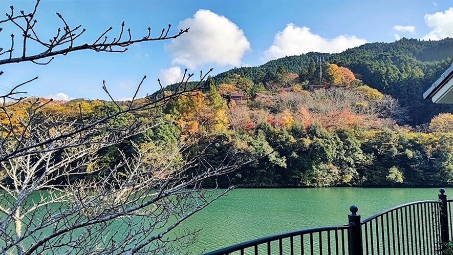 *【もみじ川温泉周辺の紅葉】紅葉の時期はきれいに色づきます★