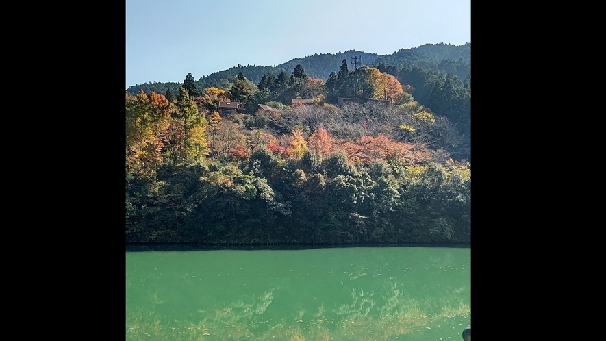 *【もみじ川温泉周辺の紅葉】当館からも紅葉を楽しむことができます♪