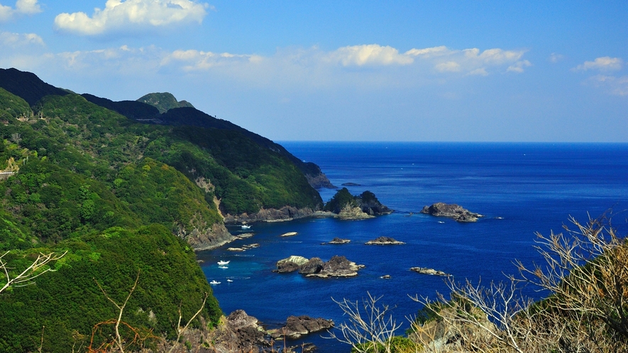 *【周辺観光】千羽海崖：当館よりお車で約２6分（徳島県観光協会 提供)