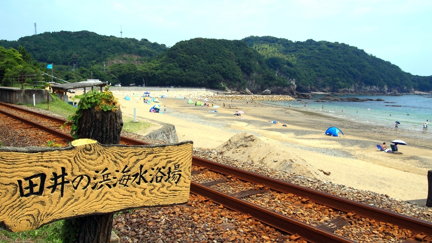 *【周辺観光】田井ノ浜海水浴場：当館よりお車で約27分（徳島県観光協会 提供）