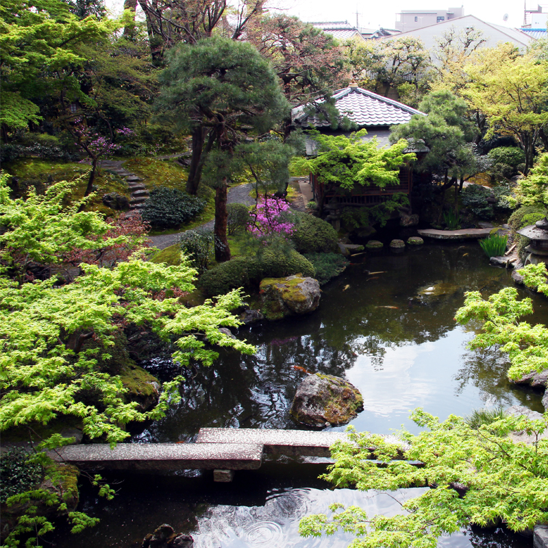御所西 京都平安ホテル 設備 アメニティ 基本情報 楽天トラベル