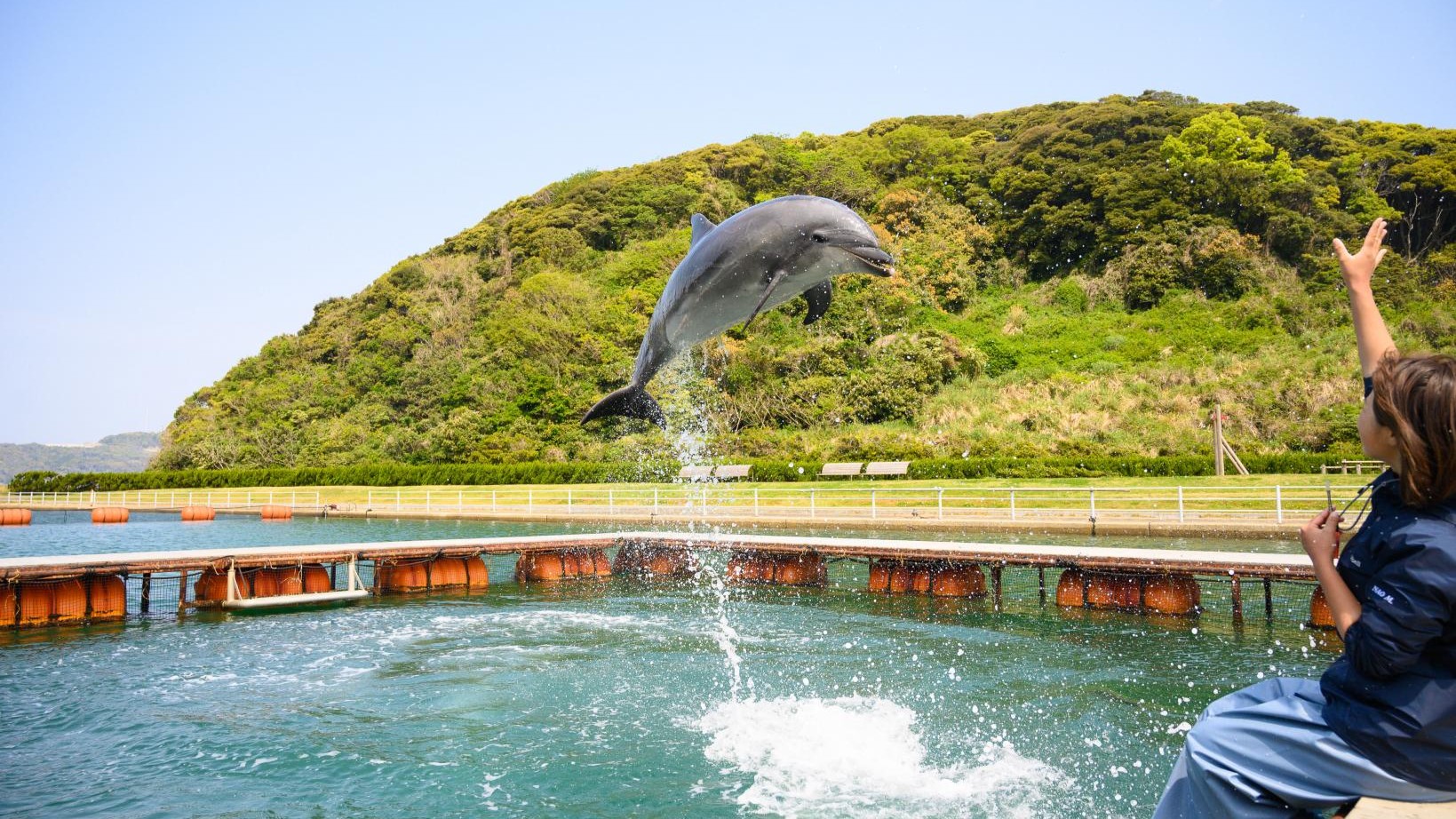 かわいいイルカに触れ合える！癒しの時間に大満足