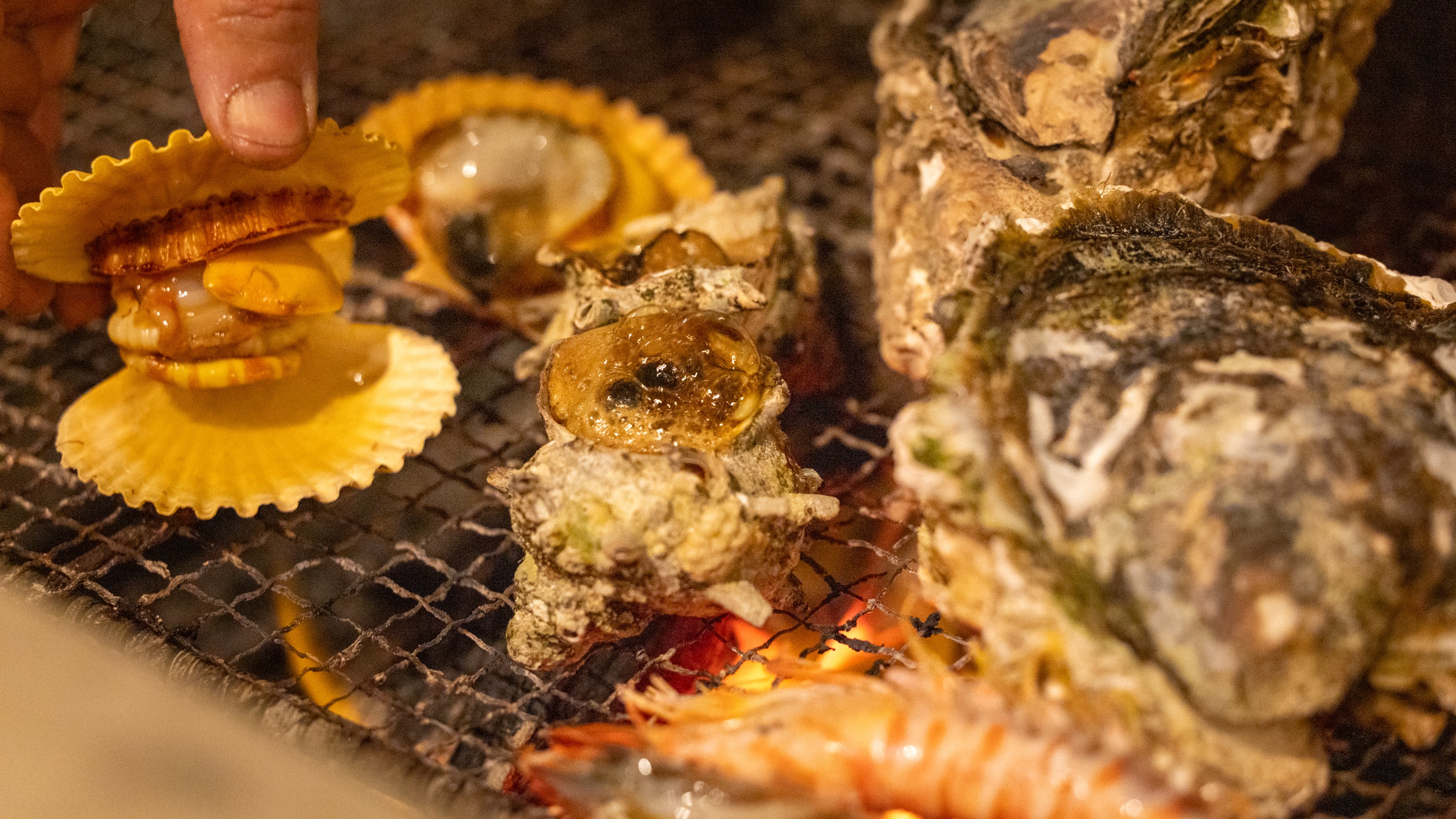 【磯あそび会席】熟練の職人が絶妙な焼き加減で仕上げる炭焼き海鮮をご堪能ください！