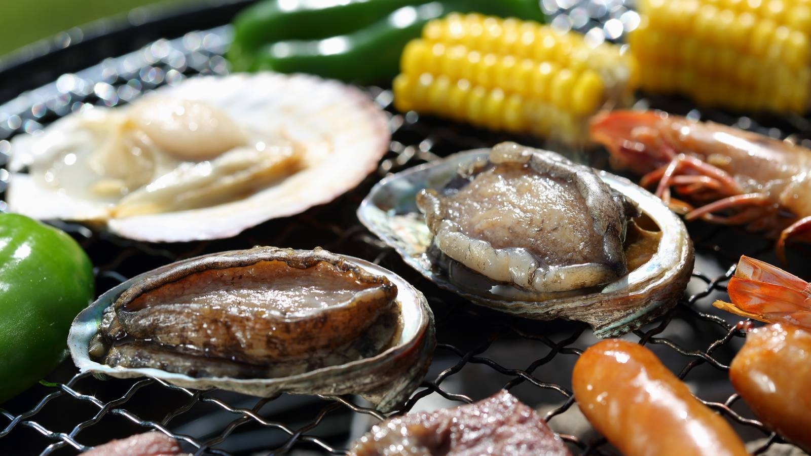 【2食付：夏季限定】屋外の自然の中で自分たちで焼いて楽しむ炭火焼ガーデンBBQ☆（雨天変更有）