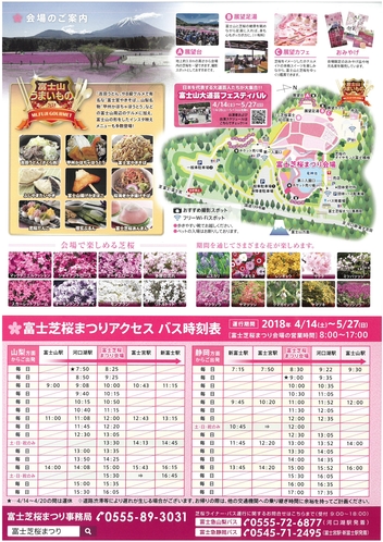 2018富士芝桜祭り2