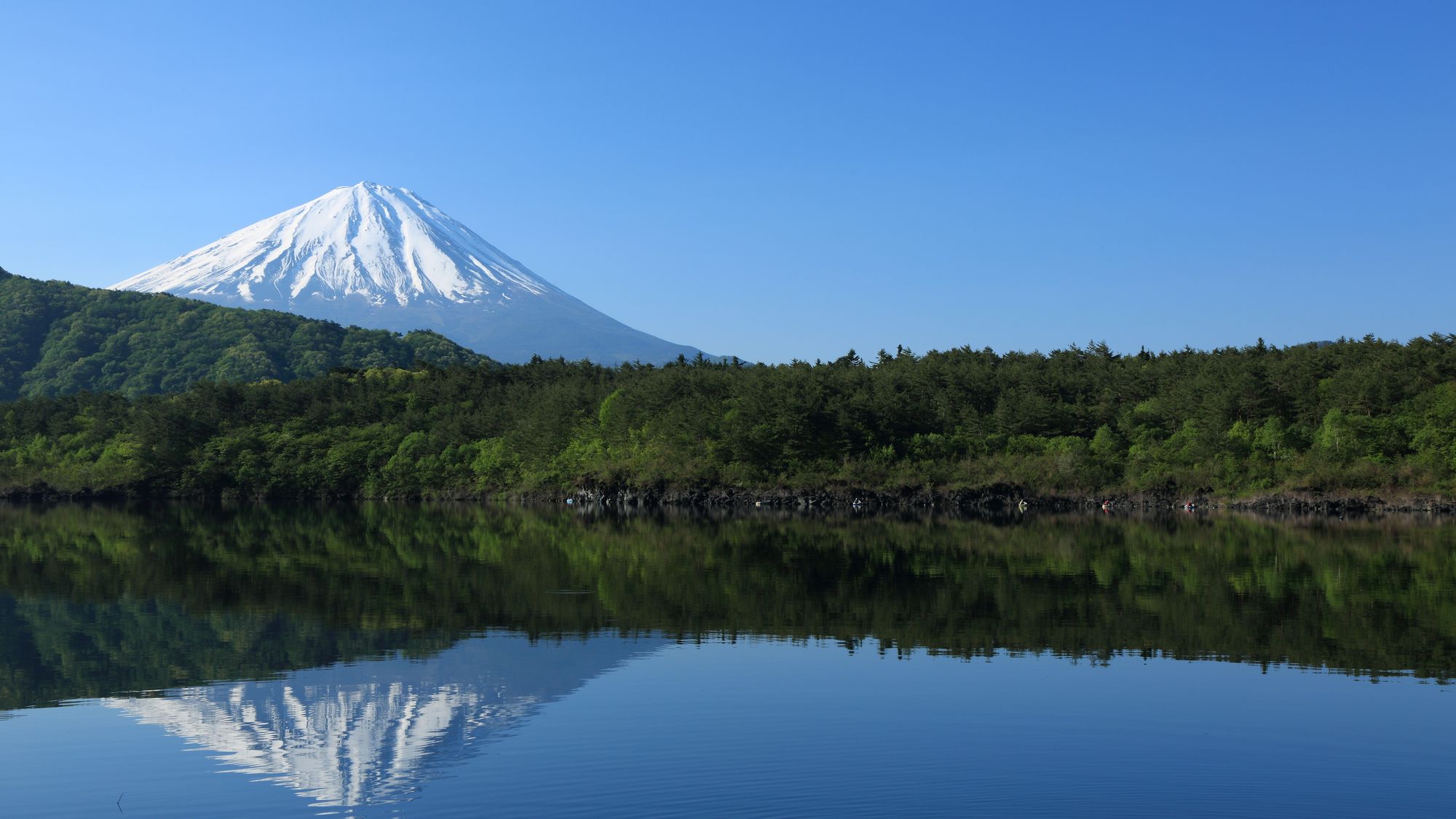 西湖（さいこ）