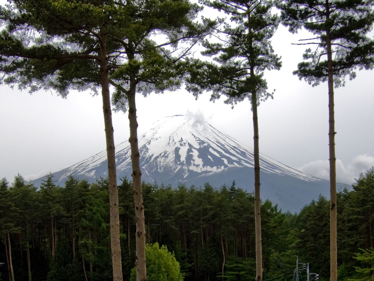 雄大な景色をお楽しみください