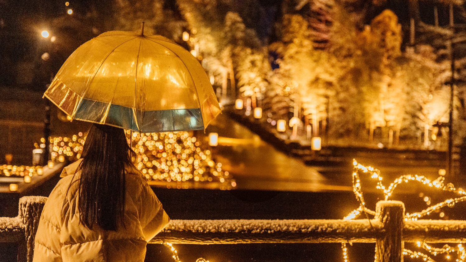 ２０２５音信川うたあかり