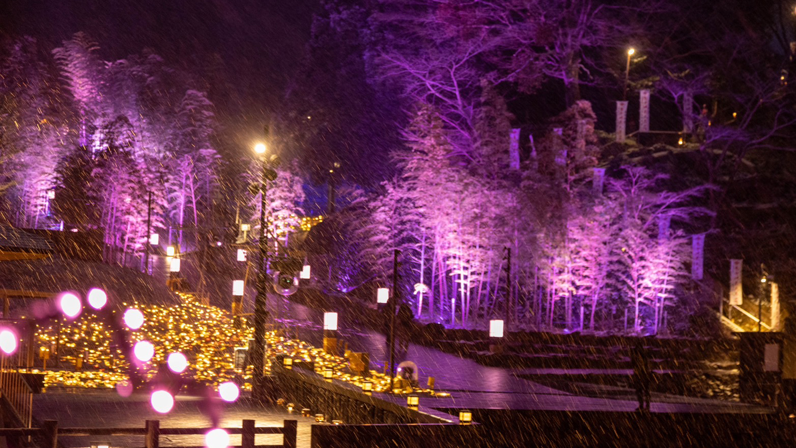 ２０２５音信川うたあかり