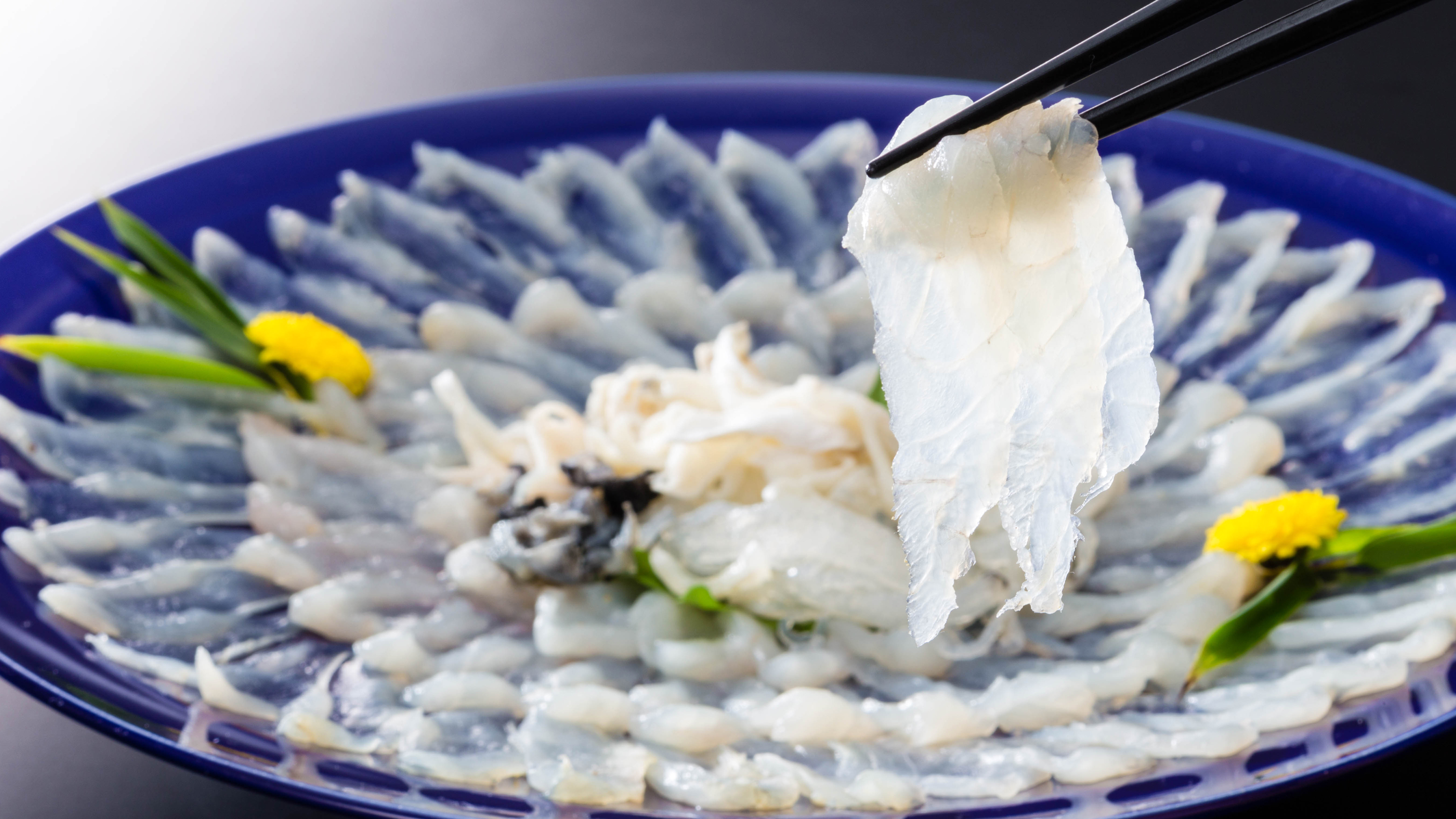 とらふぐ刺し（てっさ）