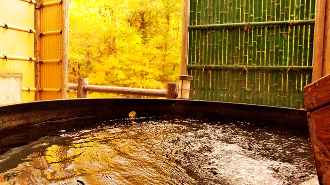 【最上階の特別室】1日1組様限定★渓谷美を楽しむ！和洋室専用プラン