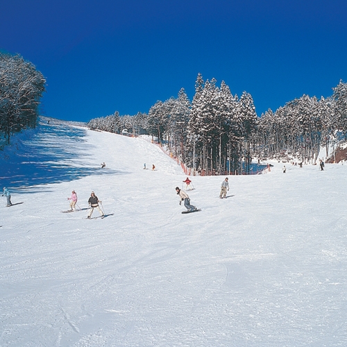 【学割】特典満載！リフト1日券付・レンタル割引券付＆うれしい３食付♪