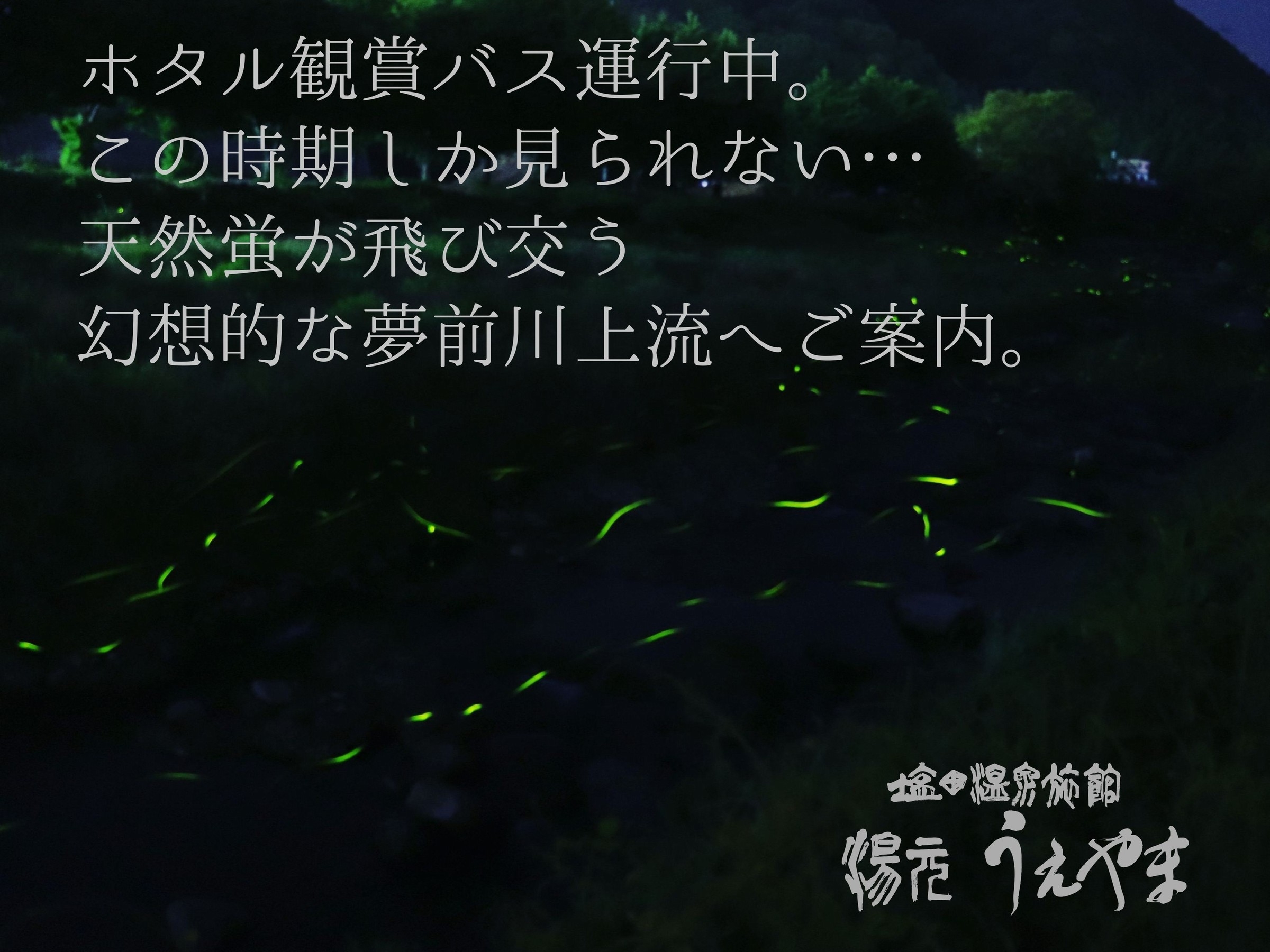 ＜蛍鑑賞＞6月の遊び♪〜天然ホタルを観に行こう〜
