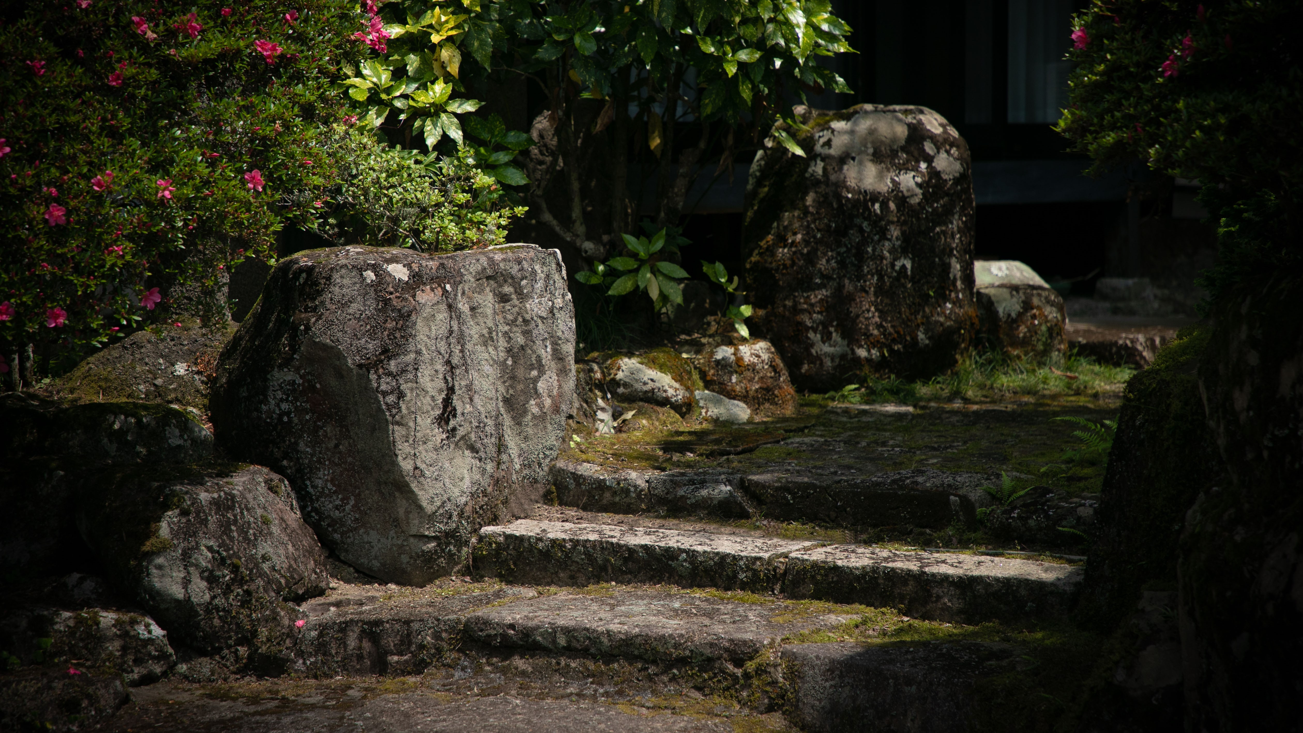 ◆庭園◆