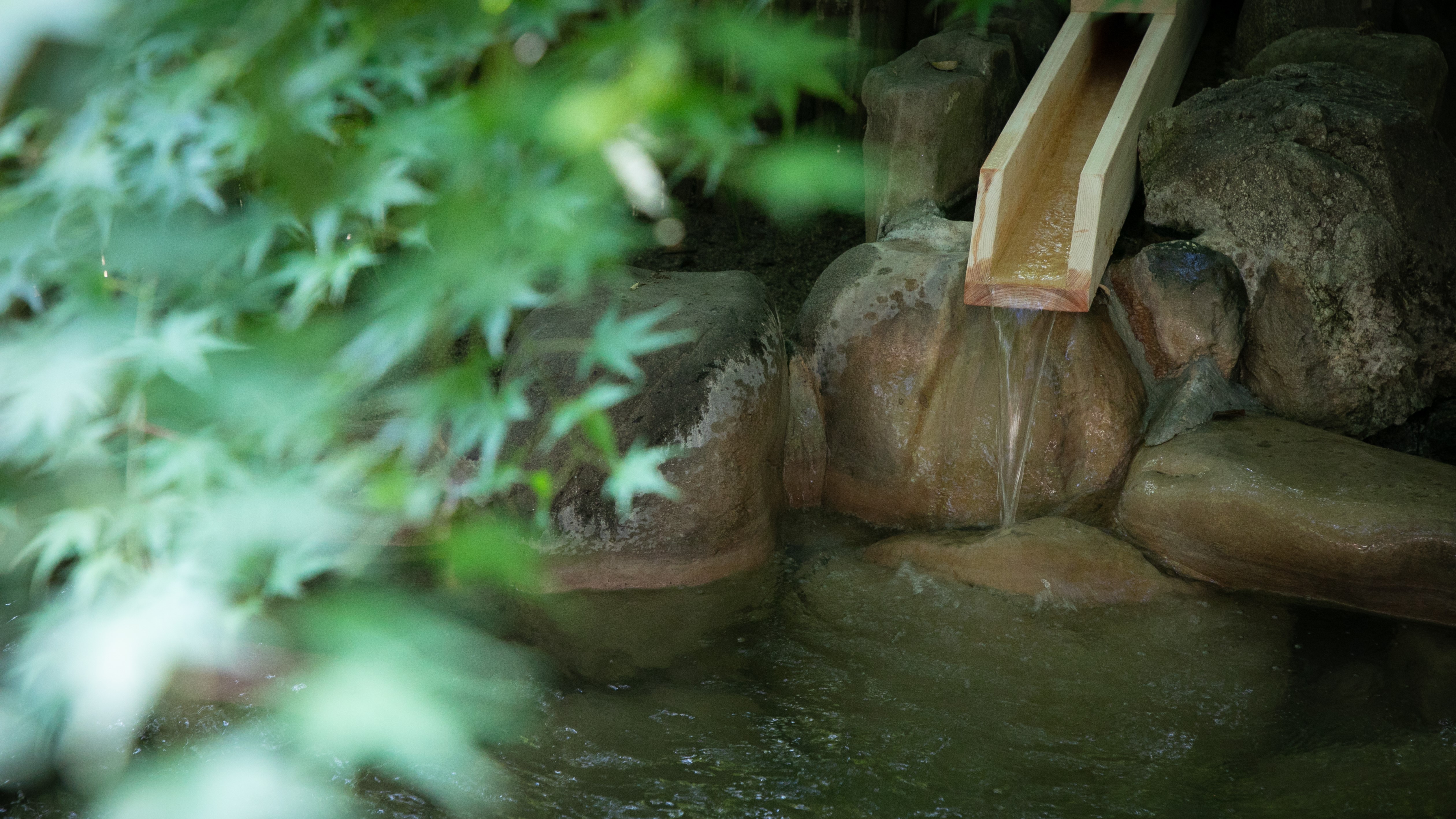 ◆野天風呂・女湯◆