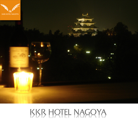 Night view of Nagoya Castle