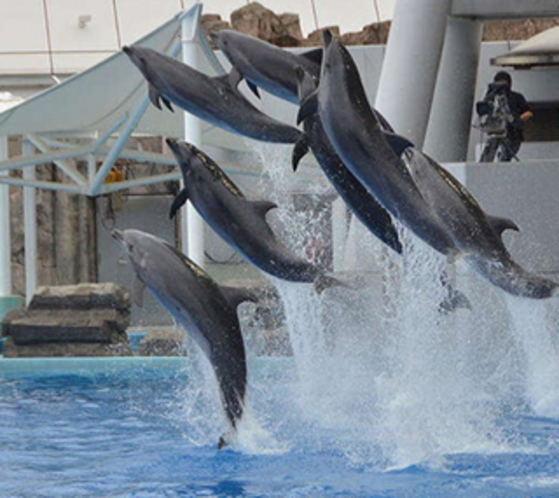 名古屋港水族館