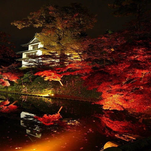 弘前城菊と紅葉まつり～夜