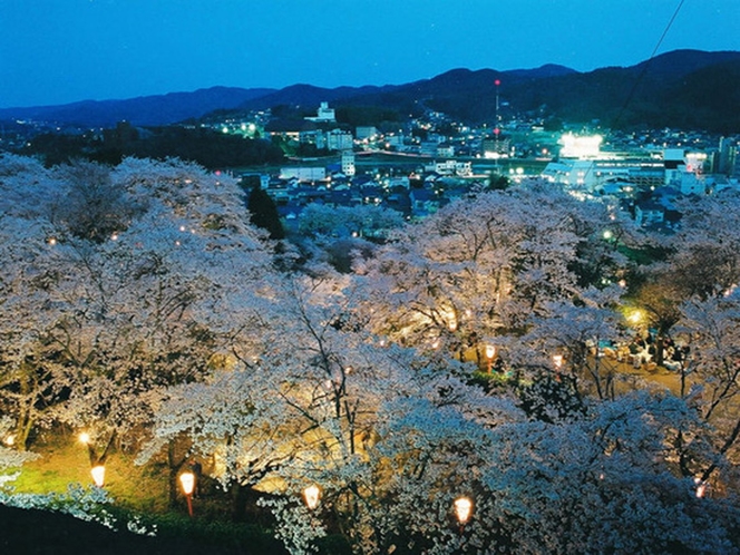 津山市「鶴山公園」の夜桜