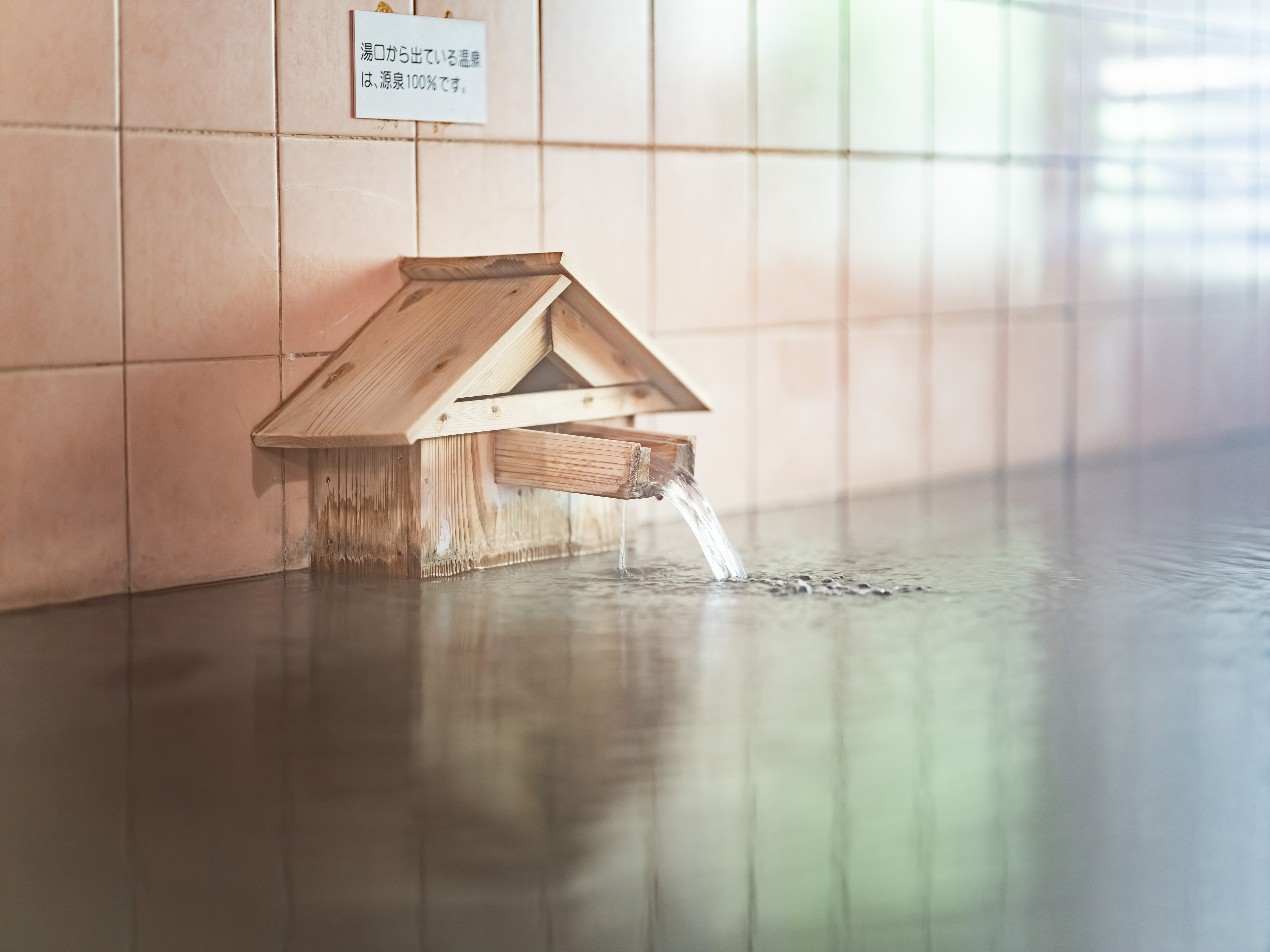 紅梅の湯　内湯２