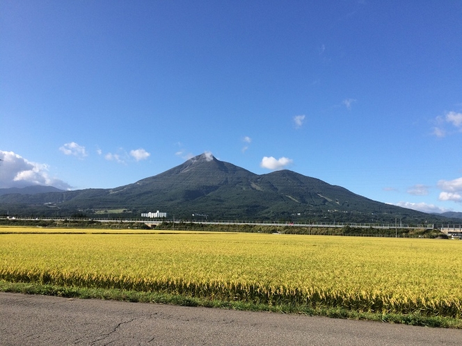 磐梯山と稲穂