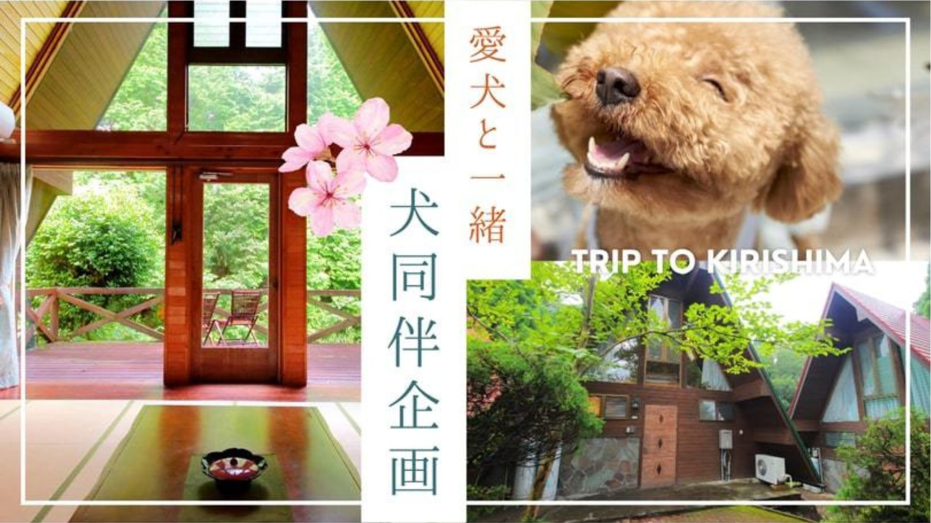 【ご愛犬と一緒に宿泊♪】コテージさくらの村限定◇◆さつま地鶏と黒豚を味わう＜桜さつま鍋コース＞