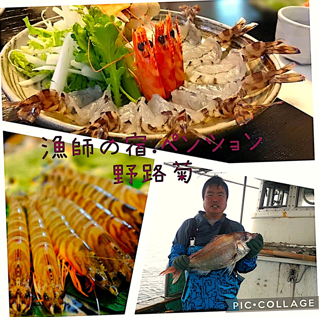 写真1