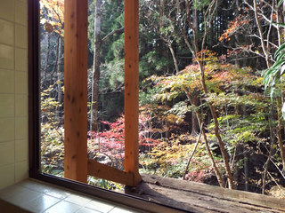 内湯から見える紅葉