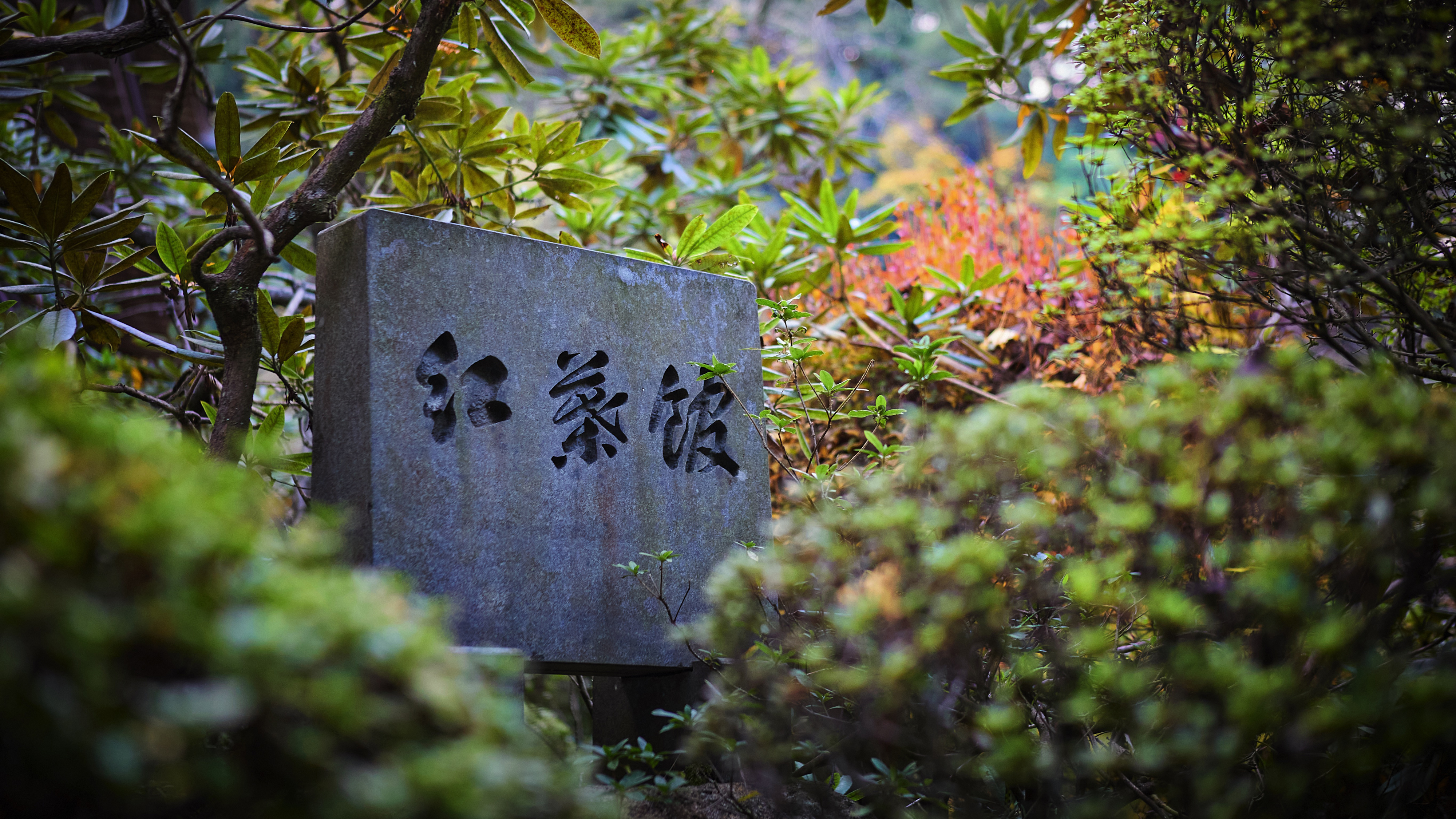 玄関脇でお迎えする石看板