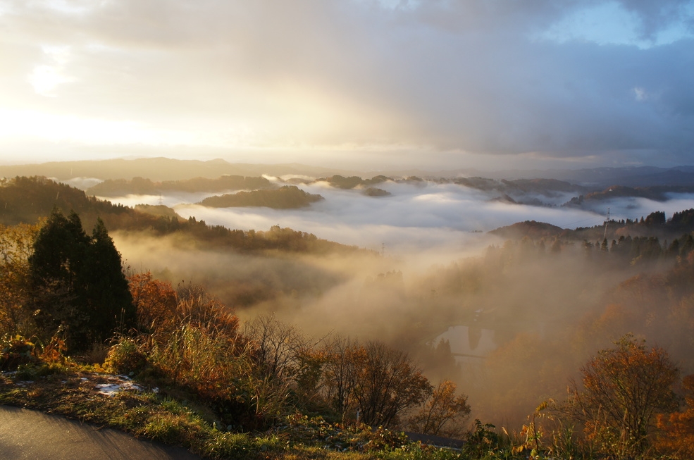 【新潟和牛食べ比べ】新潟和牛をすきやきとステーキで！のど黒の炭火焼きも付いた極撰和会席