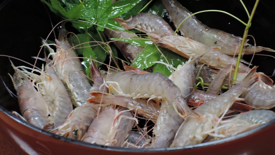 *【夕食一例】エビの踊り食い