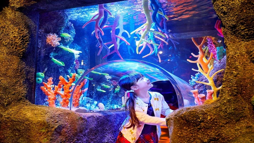 【シーライフ名古屋】レゴランドの水族館。「見て、さわって、学んで」楽しい工夫が盛りだくさん！